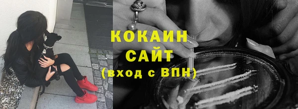 гидра Абаза