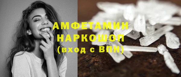 гидра Абаза
