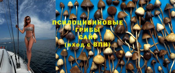 гидра Абаза
