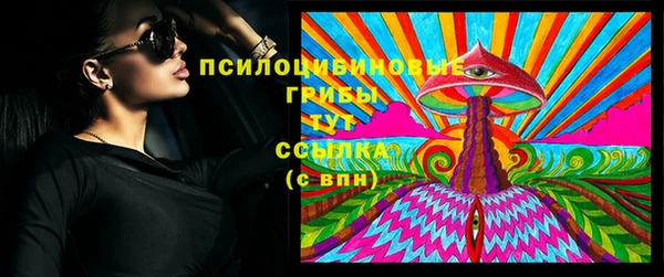 гидра Абаза