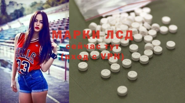 гидра Абаза