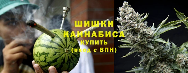 гидра Абаза