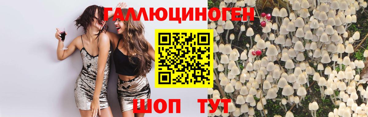 Галлюциногенные грибы Cubensis Сызрань