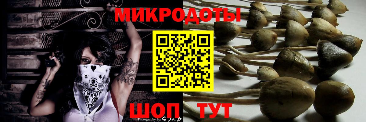 Псилоцибиновые грибы прущие грибы  Псилоцибиновые грибы GOLDEN TEACHER  Сызрань  Вход с VPN 